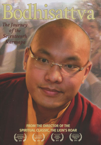 Bodhisattva (DVD) Bodhisattva (DVD)