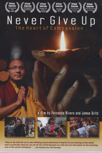 Never Give Up (DVD) Never Give Up (DVD)